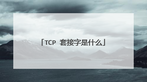 TCP 套接字是什么