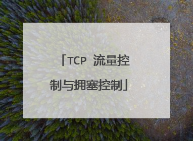 TCP 流量控制与拥塞控制