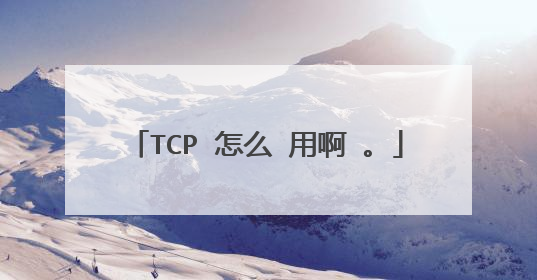 TCP 怎么 用啊 。