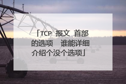 TCP 报文 首部 的选项  谁能详细介绍个没个选项