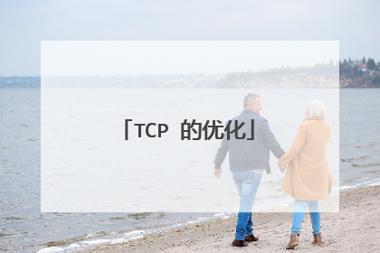 TCP 的优化