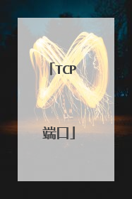 TCP 端口