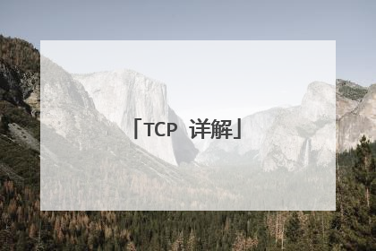 TCP 详解