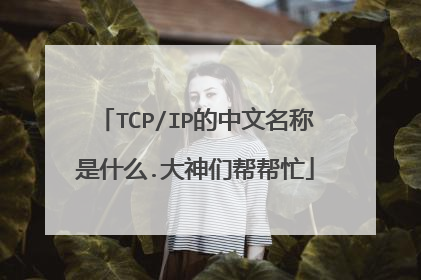 TCP/IP的中文名称是什么.大神们帮帮忙