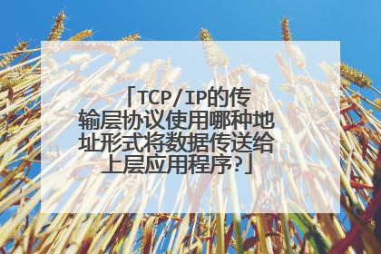 TCP/IP的传输层协议使用哪种地址形式将数据传送给上层应用程序?