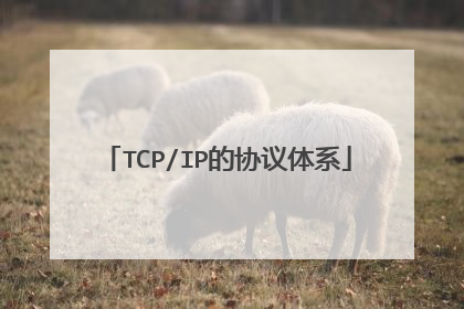 TCP/IP的协议体系