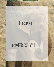 TCP/IP网络类型
