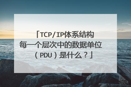 TCP/IP体系结构每一个层次中的数据单位(PDU)是什么?