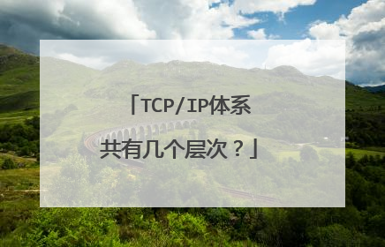 TCP/IP体系共有几个层次？