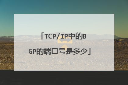 TCP/IP中的BGP的端口号是多少