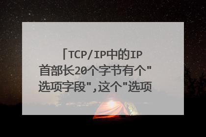 TCP/IP中的IP首部长20个字节有个