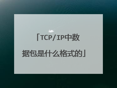 TCP/IP中数据包是什么格式的