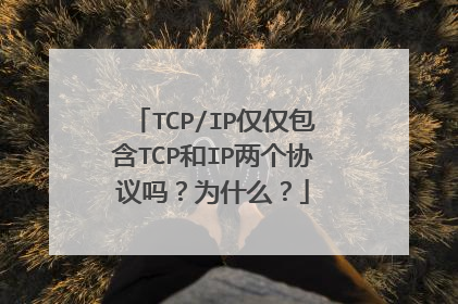TCP/IP仅仅包含TCP和IP两个协议吗?为什么?