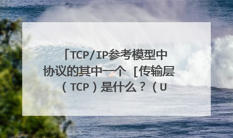 TCP/IP参考模型中协议的其中一个 [传输层 (TCP)是什么?(UDP)又是什么?