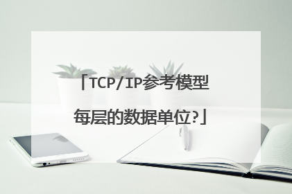 TCP/IP参考模型 每层的数据单位?