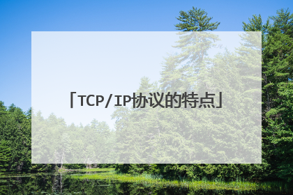 TCP/IP协议的特点