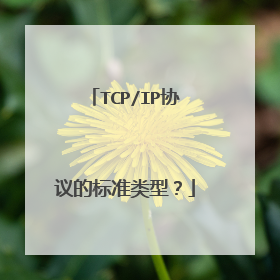TCP/IP协议的标准类型？