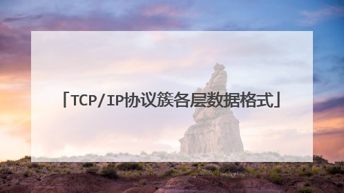 TCP/IP协议簇各层数据格式