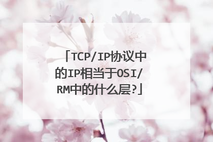 TCP/IP协议中的IP相当于OSI/RM中的什么层?