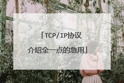 TCP/IP协议介绍全一点的急用