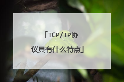 TCP/IP协议具有什么特点