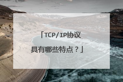 TCP/IP协议具有哪些特点？