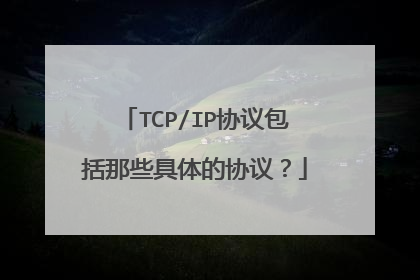 TCP/IP协议包括那些具体的协议？