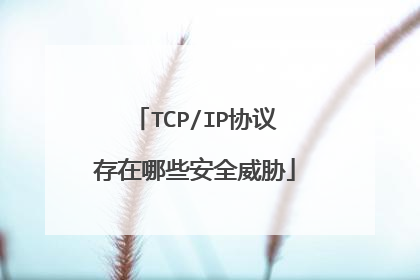 TCP/IP协议存在哪些安全威胁