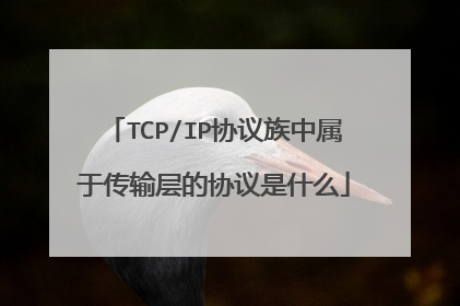 TCP/IP协议族中属于传输层的协议是什么