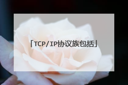 TCP/IP协议族包括