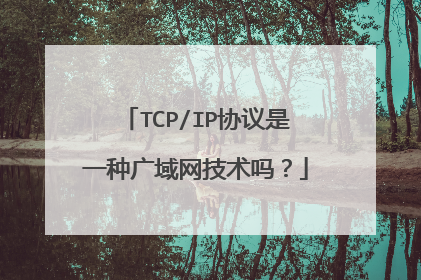 TCP/IP协议是一种广域网技术吗？