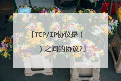 TCP/IP协议是（    ）之间的协议?