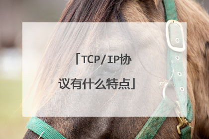 TCP/IP协议有什么特点
