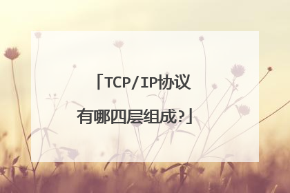 TCP/IP协议有哪四层组成?