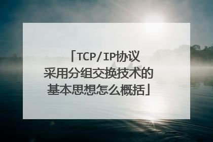 TCP/IP协议采用分组交换技术的基本思想怎么概括