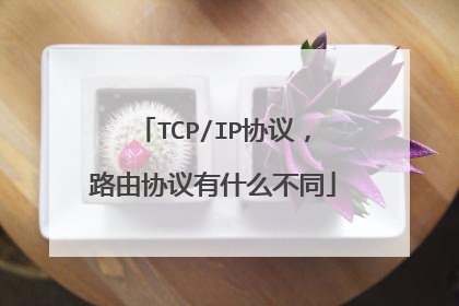 TCP/IP协议，路由协议有什么不同