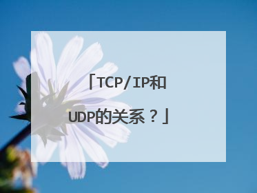 TCP/IP和UDP的关系？