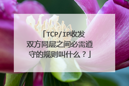 TCP/IP收发双方同层之间必需遵守的规则叫什么？