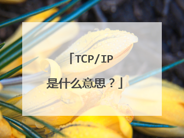 TCP/IP是什么意思?
