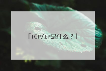 TCP/IP是什么?