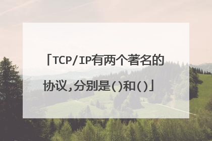 TCP/IP有两个著名的协议,分别是()和()
