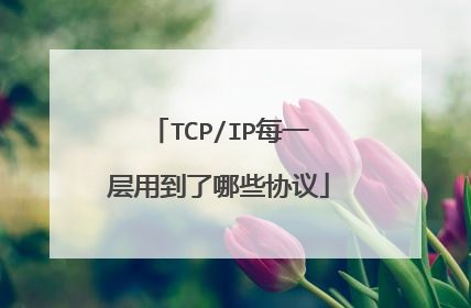 TCP/IP每一层用到了哪些协议