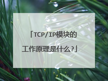 TCP/IP模块的工作原理是什么?
