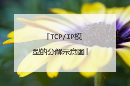 TCP/IP模型的分解示意图
