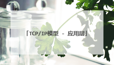 TCP/IP模型 - 应用层