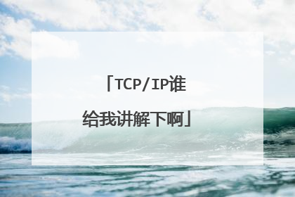 TCP/IP谁给我讲解下啊