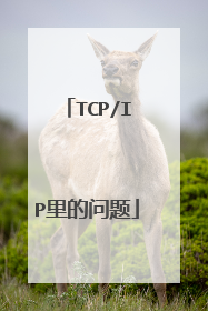 TCP/IP里的问题