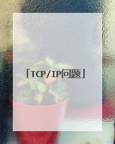 TCP/IP问题