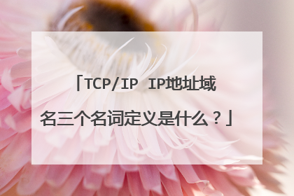 TCP/IP IP地址域名三个名词定义是什么?