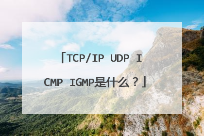 TCP/IP UDP ICMP IGMP是什么?